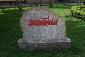 wołów