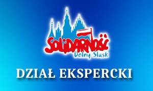 Dzial-Ekspercki