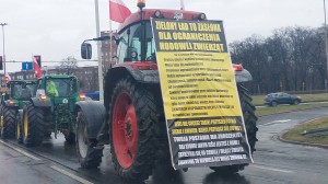 protest1